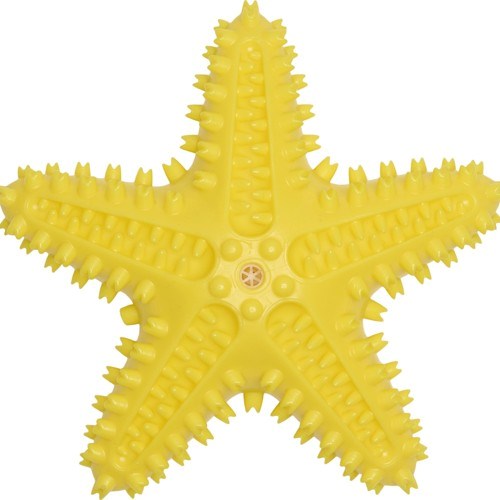 Companion Chewing Toy - Stjärna