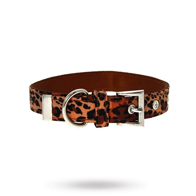 Cheetah Print HUNDHALSBAND