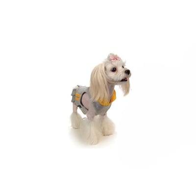 Puppy Angel Sport Klänning - Hundkläder