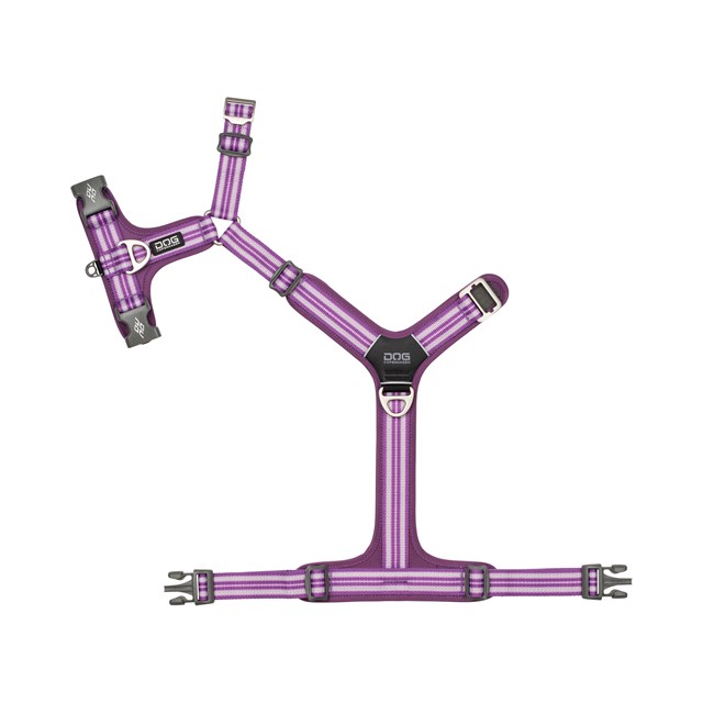 Comfort Walk Air 3.0 Harness Purple Passion