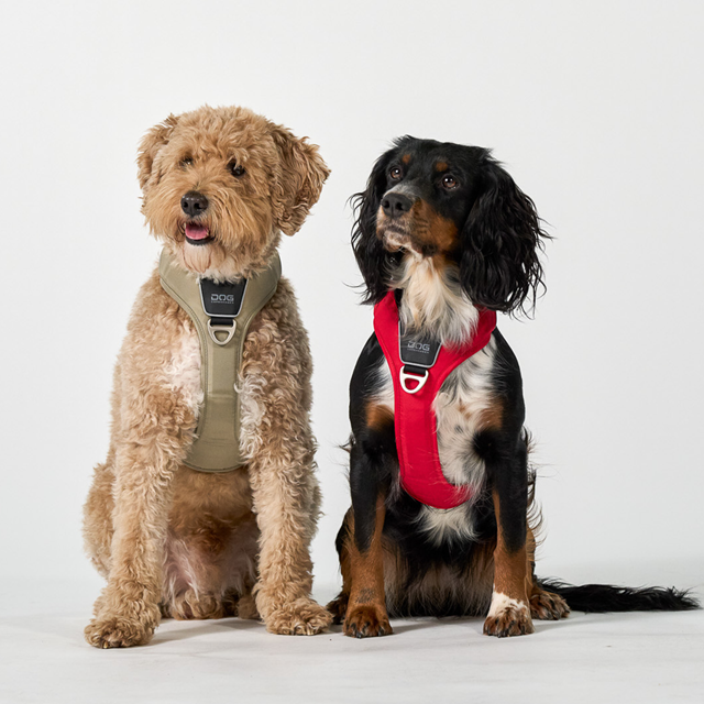 Comfort Walk Pro 3.0 Harness - Classic Red