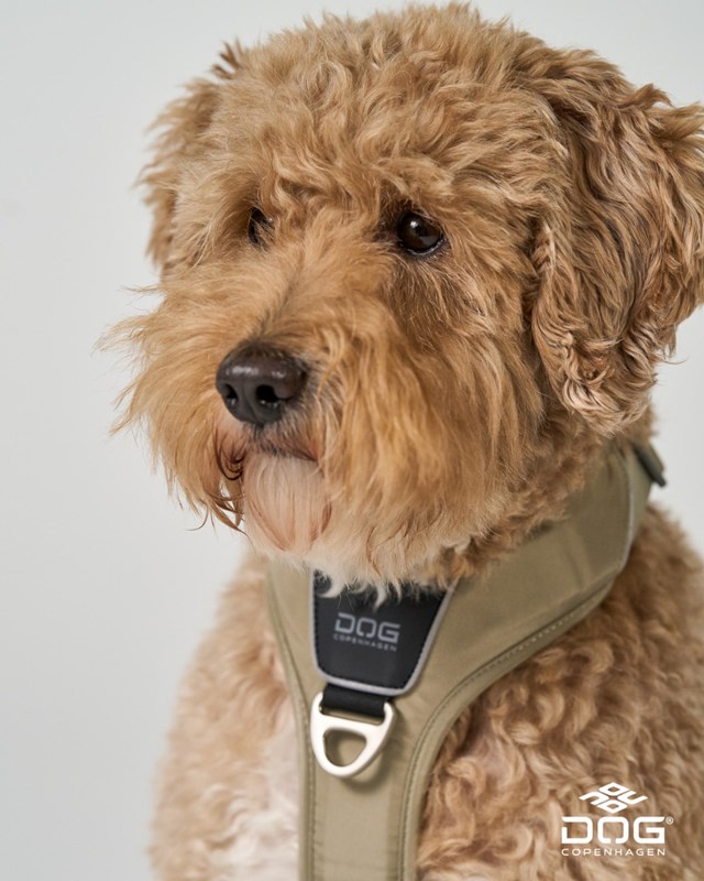 Comfort Walk Pro 3.0 - Desert Dune