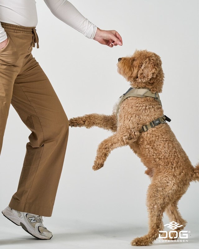 Comfort Walk Pro 3.0 - Desert Dune