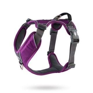 Comfort Walk Pro Harness Ny 2020 - Purple Passion