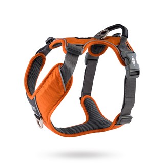 Comfort Walk Pro Harness Ny 2020 - Orange Sun