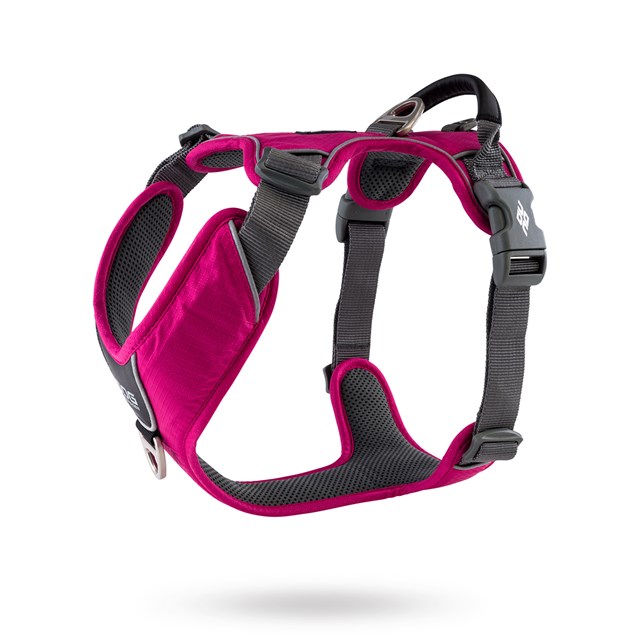 Comfort Walk Pro Harness Ny 2020 - Wild Rose