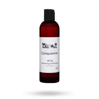 Companion 2 In 1 Shampoo 250ml