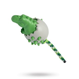 Companion Chewing Toy - Dinosaurieägg
