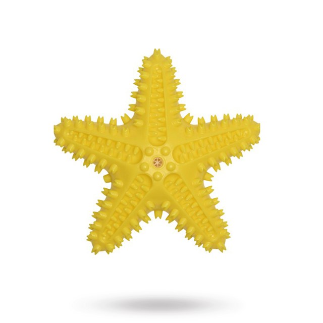 Companion Chewing Toy - Stjärna