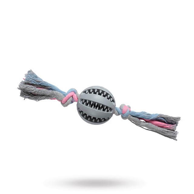 COMPANION DENTAL CHEWING BALL ON ROPE - flytande hundleksak