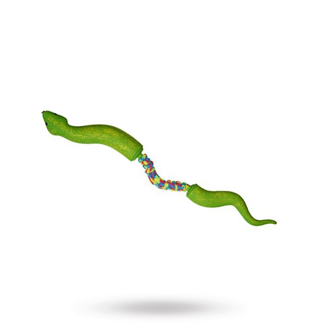 COMPANION FUN SNAKE
