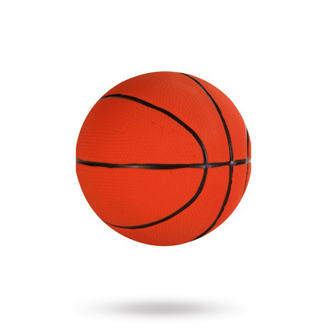 Companion Squeaker Basket Ball ø10 cm