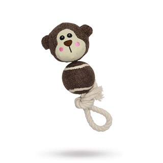 Companion Tennis Monkey