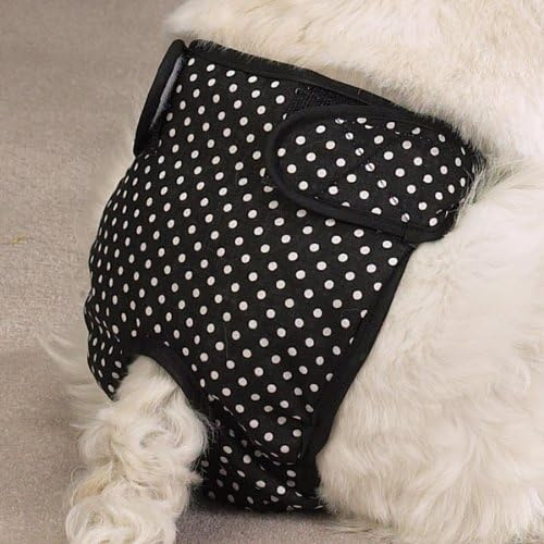 CQ Female Pup Pants Tikskydd - Svart