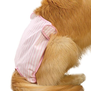 Cq Female Pup Pants Tikskydd - Rosa