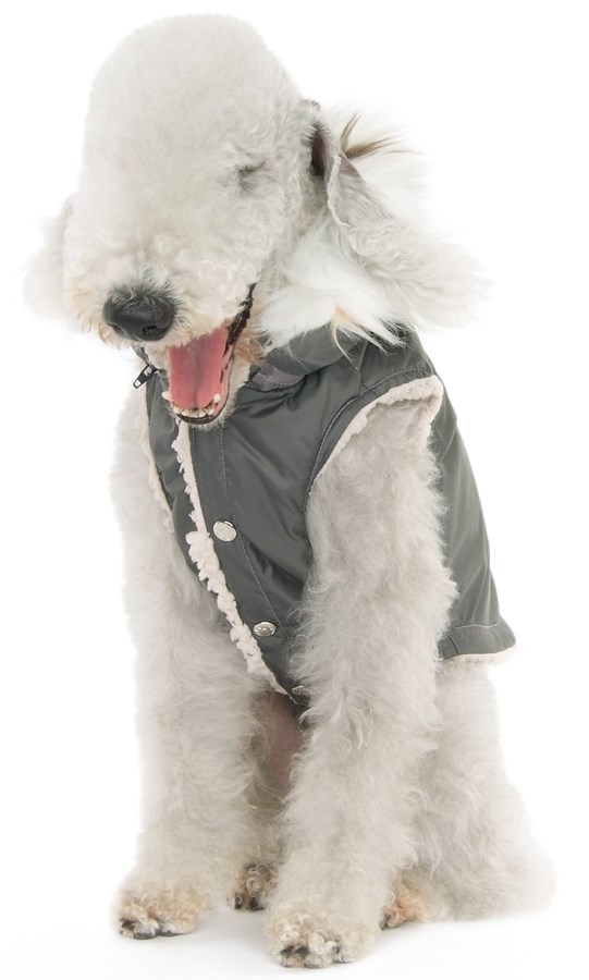The PRECIOUS Padded Vest - Grey - 2XL