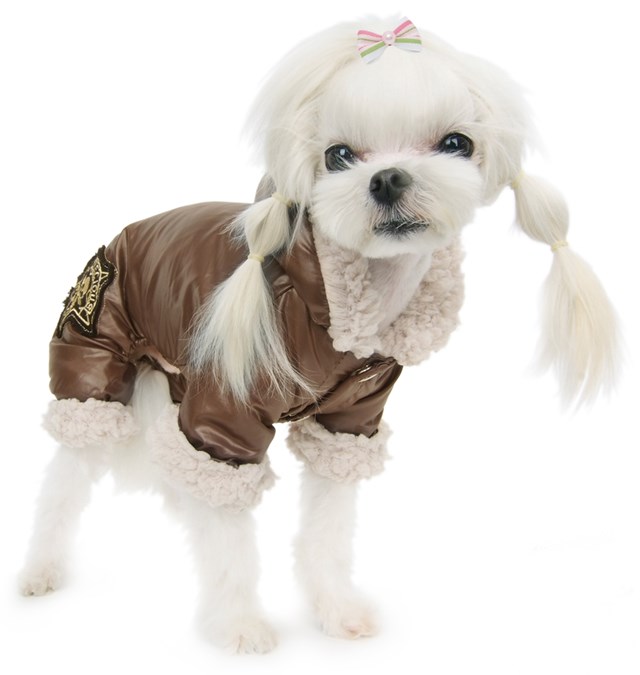 Winter Guardian Padded Overall - Brown - 3XL