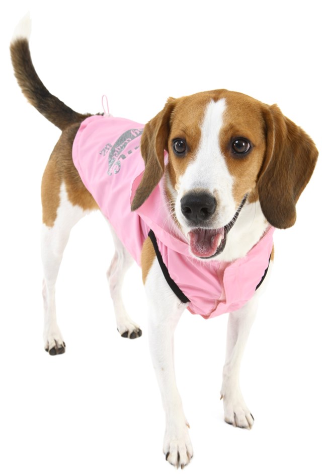 Awesome Rain Vest - Pink - 6XL
