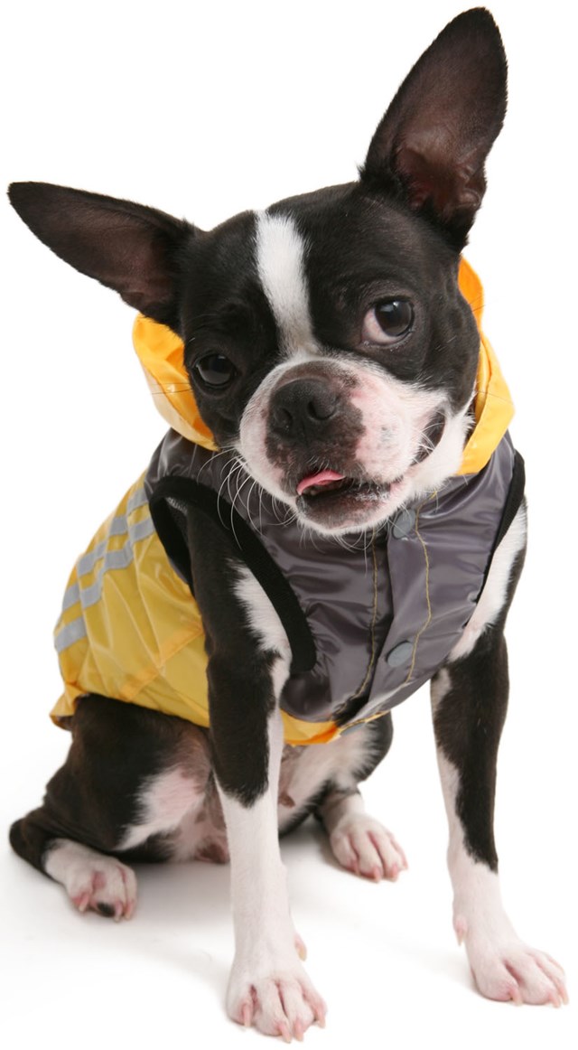 Urban Rain Vest - Yellow