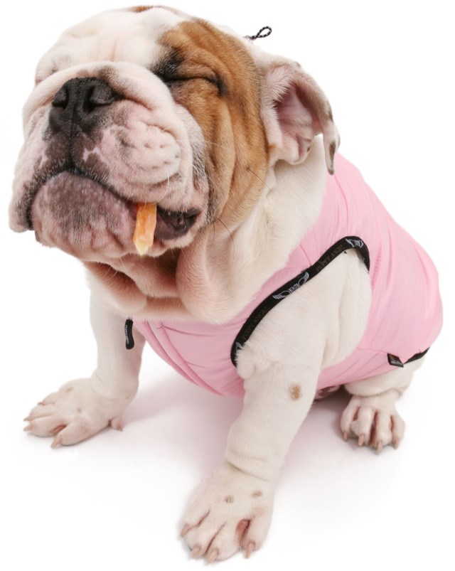 Bulldog Portly Pug Padded Vest - Pink