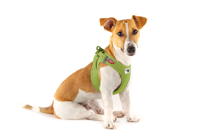 Curli Vest Clasp Air-Mesh Hundsele - Lime