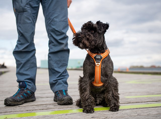Comfort Walk Air Harness Ny 2020 - SVART