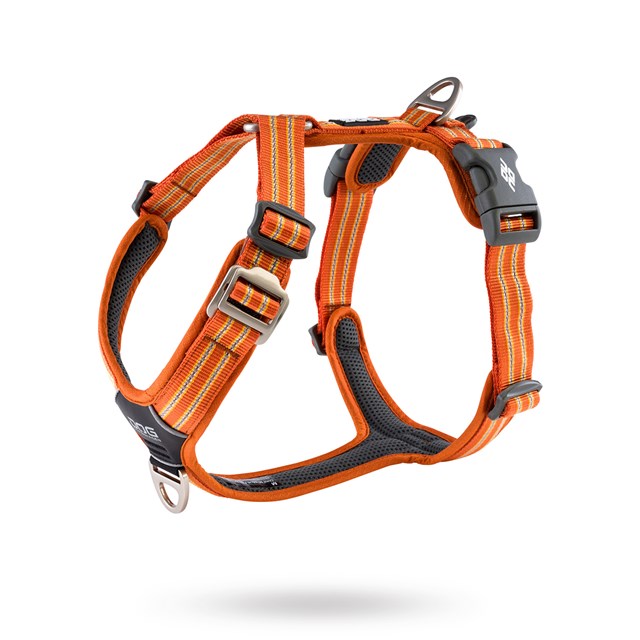 COMFORT WALK AIR HARNESS NY 2020 - ORANGE SUN