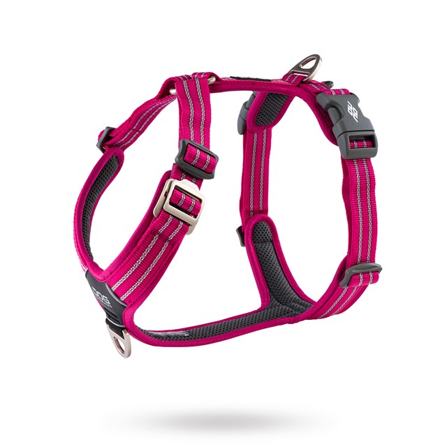 Comfort Walk Air Harness Ny 2020 - Wild Rose