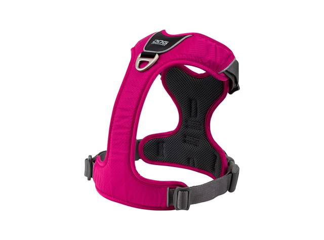 Comfort Walk Pro Harness Ny 2020 - Wild Rose