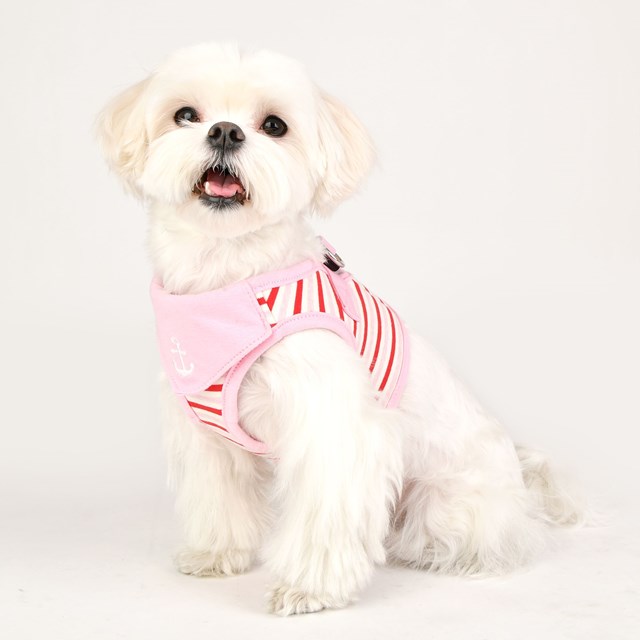 Seaman Pink - Jacket Hundsele