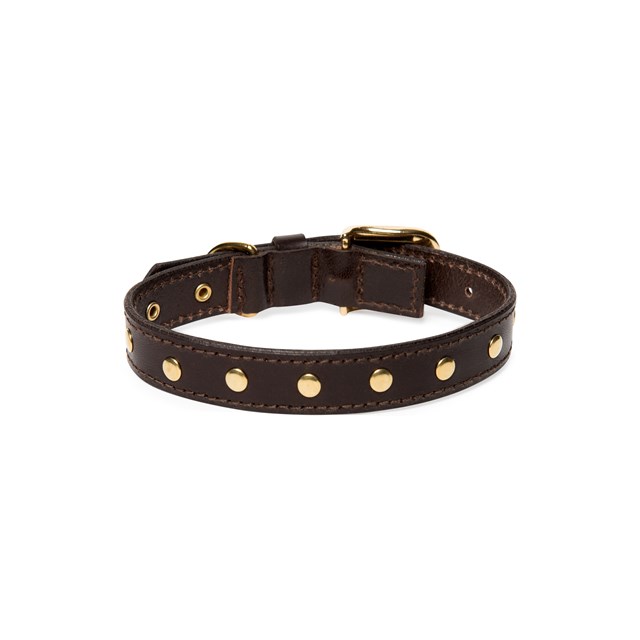 RIVET Brown - Läder Hundhalsband