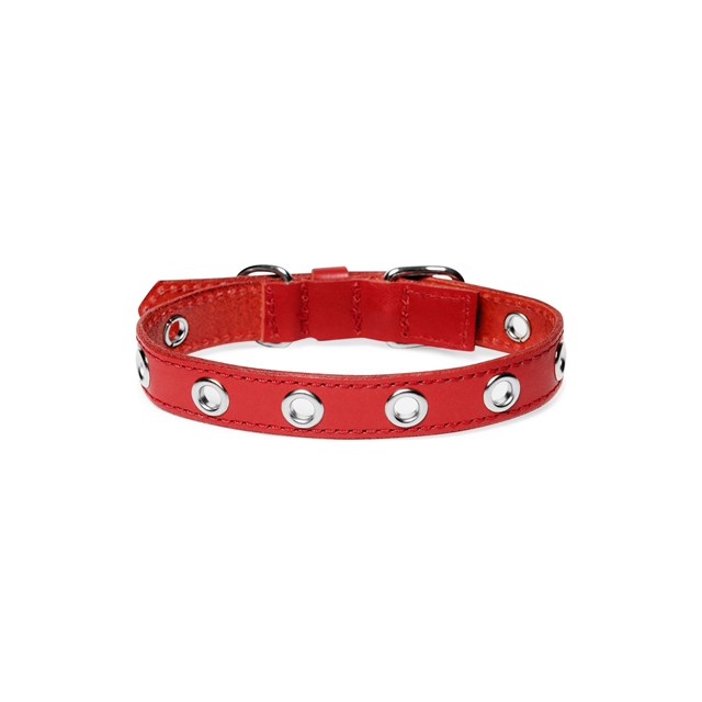 ROCK Red - Läder Hundhalsband
