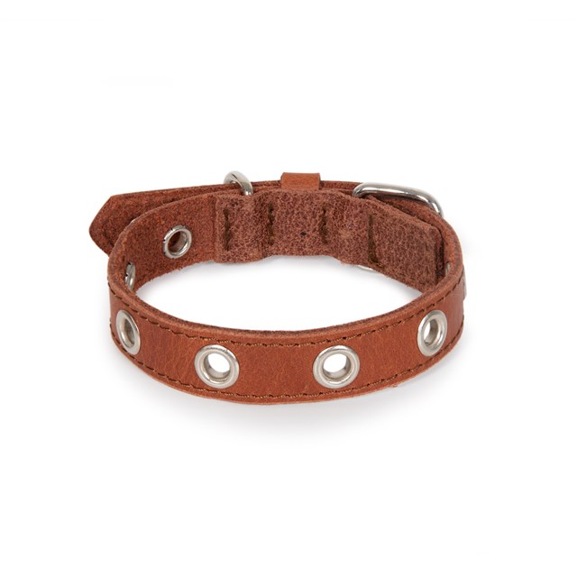 ROCK Brown - Läder Hundhalsband