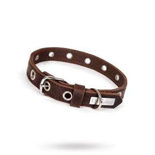 Rock Dark Brown - Läder Hundhalsband