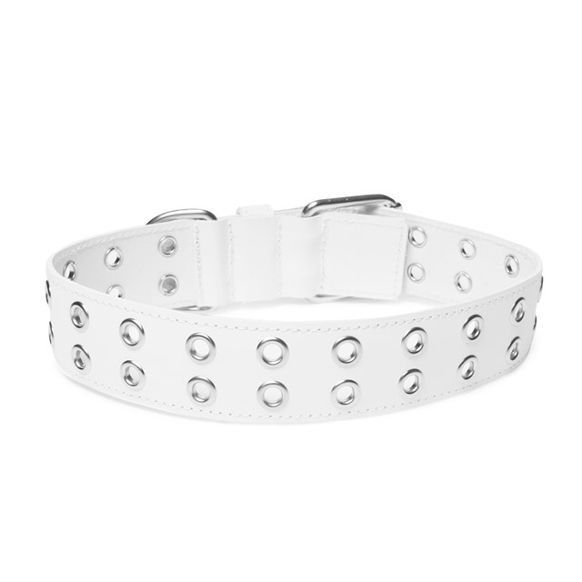 ROCK White - Läder Hundhalsband