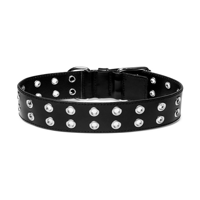 ROCK Black - Läder Hundhalsband