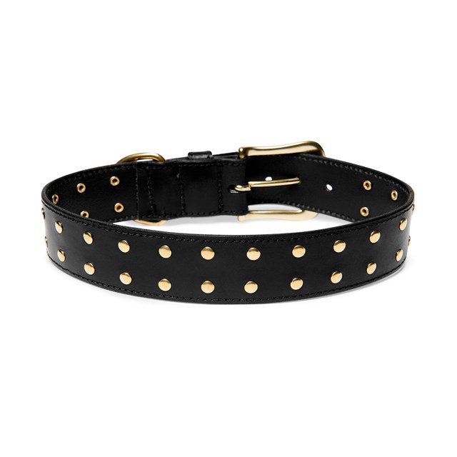 RIVET Black Gold - Läder Hundhalsband