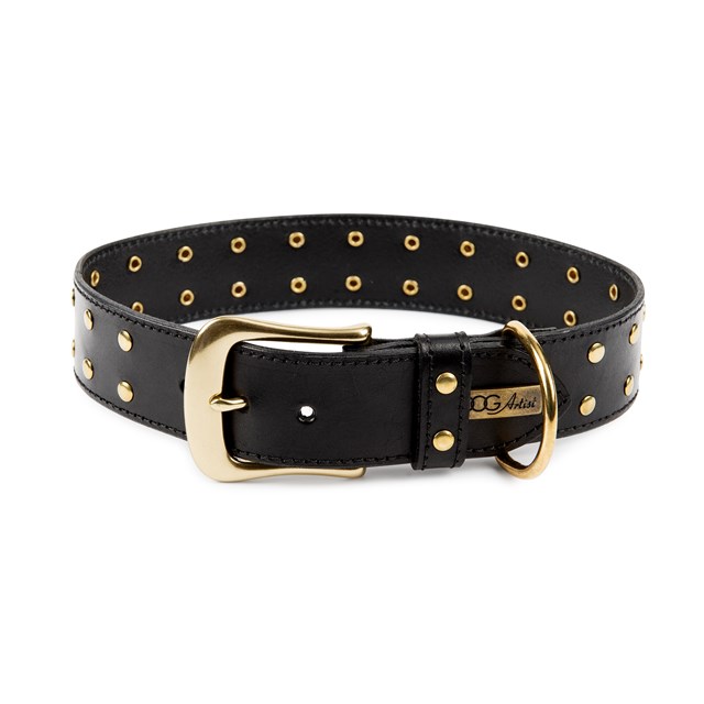 RIVET Black Gold - Läder Hundhalsband