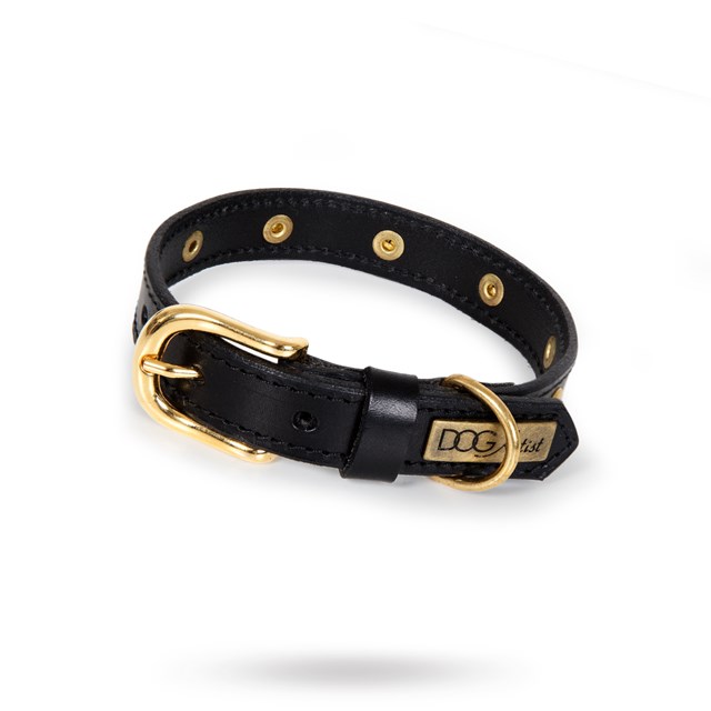 RIVET Black Gold - Läder Hundhalsband