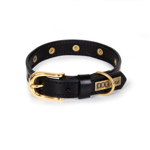 RIVET Black Gold - Läder Hundhalsband
