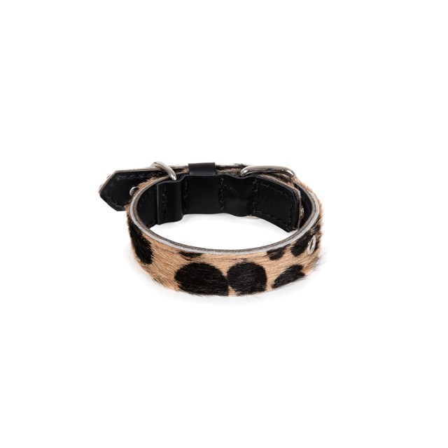 LUCKY LEOPARD Collar - XS