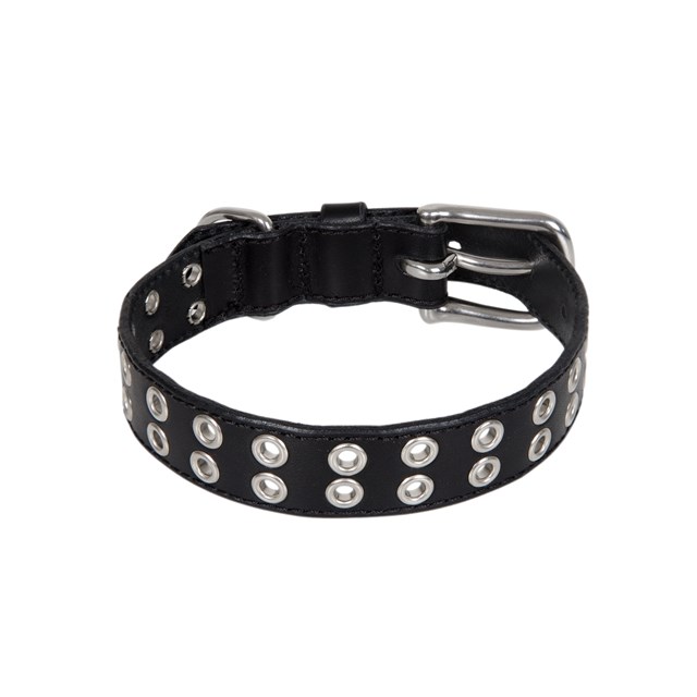 ROCK Special Black - Läder Hundhalsband
