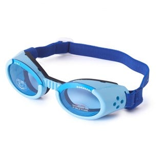 Hundglasögon Ils - Shiny Blue / Blue Lens