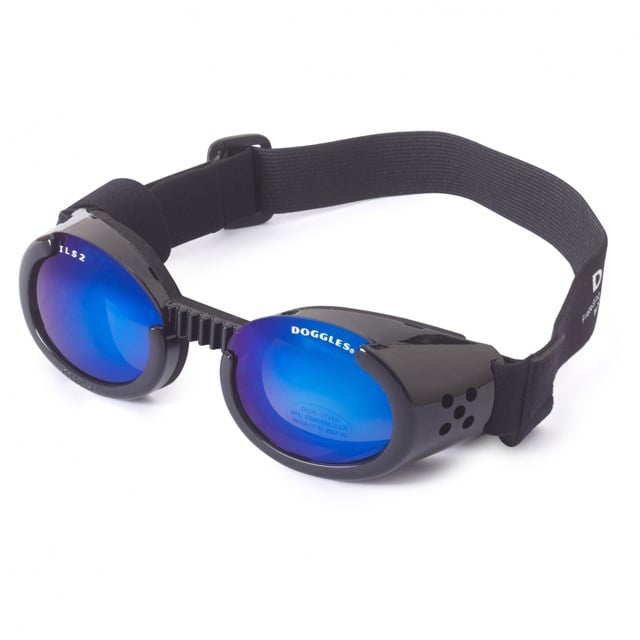 Hundglasögon ILS - Shiny Black / Blue Lens