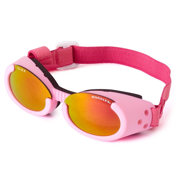 Hundglasögon ILS - Pink all over