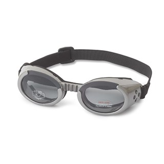 Hundglasögon Ils - Gray / Smoke Lens