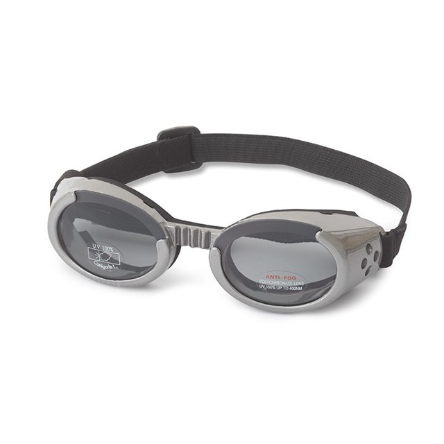 Hundglasögon ILS - Gray / Smoke Lens