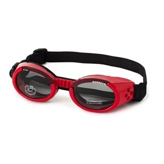 Hundglasögon Ils - Shiny Red / Smoke Lens