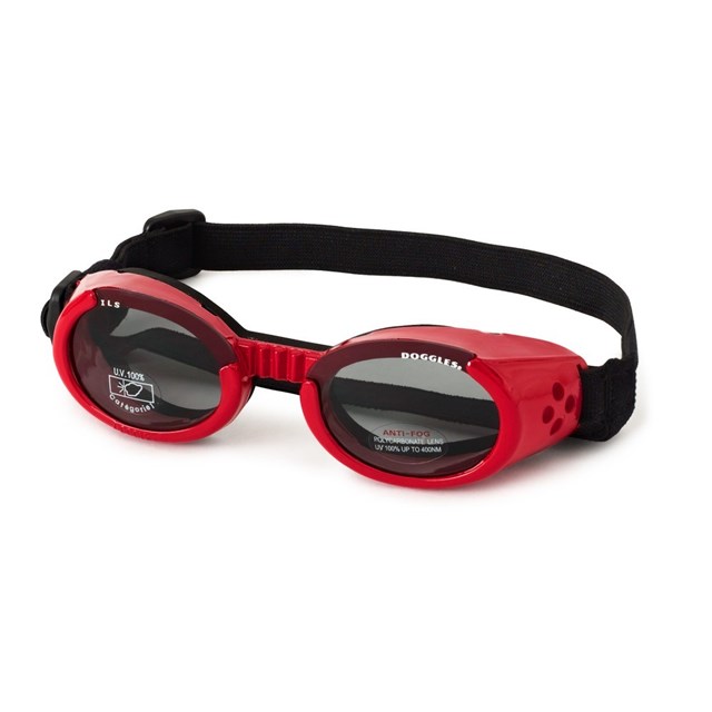 Hundglasögon ILS - Shiny Red / Smoke Lens
