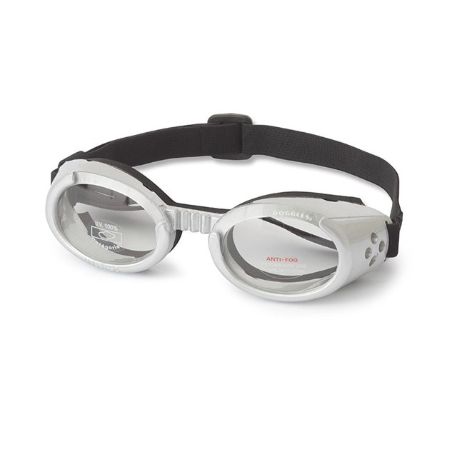 Hundglasögon ILS - Silver / Clear Lens